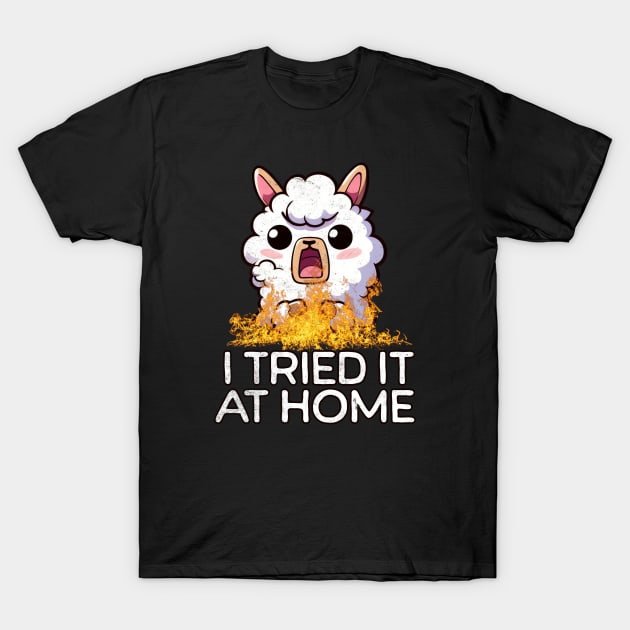 I Tried It At Home Llama Funny T-Shirt by alcoshirts